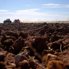 Un trabajador preparando las tierras en una parcela cercana a la capital salmantina.-ENRIQUE CARRASCAL