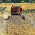 Una cosechadora trabajando en un campo de cereal, en una imagen de archivo.-ICAL