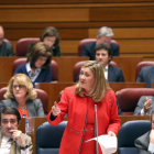 Intervención de la consejera de Hacienda, Pilar del Olmo, en el Pleno de las Cortes.-ICAL