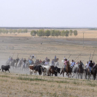 Momento de uno de los encierros por el campo.-S.G.C.