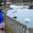 El frío y el hielo llegan a Ávila-ICAL