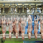 Matadero de conejos de la empresa Hermi en sus instalaciones de La Cistérniga-Photogenic