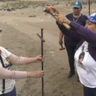Miembros del Colectivo Solecito clavan varillas en busca de cadáveres de personas desaparecidas, en Veracruz.-AITOR SÁEZ