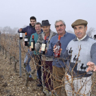 De atrás hacia adelante, Pablo y Honorato Calleja; José María Rey; Luis Ángel Soladana y Vicente Lorente, en un viñedo del Valle del Esgueva.-ARGICOMUNICACIÓN