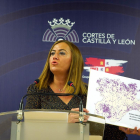 Virginia Barcones.-ICAL