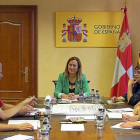 La delegada del Gobierno, Virginia Barcones, se reune con la plataforma A-11 pasos, de Peñafiel.-ICAL