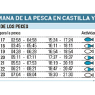 La semana de la pesca en Castilla y León-El Mundo de Castilla y León