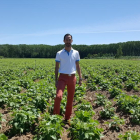 Pedro Álvarez, director general de ‘Legumbres Penelas’ en una finca de alubias en la localidad leonesa de Villarejo de Órbigo.-E. M.