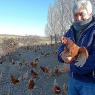 Guillermo Aragoneses muestra una de las gallinas de la raza isa brown que cría en ecológico.-T.S.T.