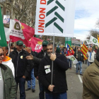 Ganaderos de Castilla y León asiten a Madrid convocados por UCCL para apoyar la manifestación que celebró La unión de Uniones-Ical