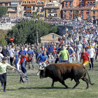 Un mozo cita a ‘Príncipe’, el morlaco de 630 kilos, sobre el césped de la rotonda del puente sobre el Duero, ayer en Tordesillas.-J.M. LOSTAU