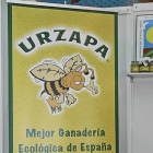 Logotipo de Miel Ecológica Urzapa-El Mundo