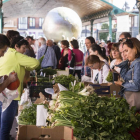 Verduras de diversos tipos en el mercado ecológico en Plaza España.-Pablo Requejo