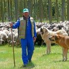 Gregorio Fidalgo con su rebaño en Abelgas de Luna (León).-E. M.