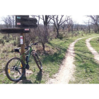 Las cercanías de la Vega de Baturio son una de las zonas más accesibles y mantienen el uso tradicional ganadero de las dehesas, ahora transitables en bicicleta .-TOÑO CARRILLO