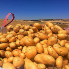 Un saco de patatas en la campaña de arranque de hace un año en la Comunidad .-E.M.