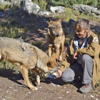 La veterinaria Silvia Martín Ferrero, con algunos ejemplares del Centro del Lobo Ibérico de Castilla y León, en Robledo, que está muy cerca de la localidad zamorana de Puebla de Sanabria.-ARGICOMUNICACIÓN