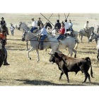 Un caballista contiene a uno de los astados que salió del recorrido en un encierro de Olmedo.-El Mundo