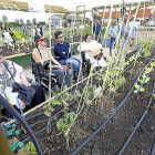Inauguración de los dos huertos de la finca ecológica de INEA adaptados para personas en silla de ruedas-J.M. Lostau
