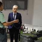 Un Guardia Civil muestra la marihuana incautada.-EUROPA PRESS