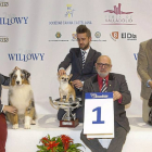 Los perros ganadores de la Exposición Canina Internacional junto a sus dueños en Fimascota-Pablo Requejo