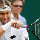 David Ferrer.-AFP / ADRIAN DENNIS