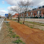 Desarrollo de la senda que está creando el municipio de 2,5 km-El Mundo