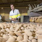 Javier Meléndez, en uno de los lineales de clasificado de patatas de su fábrica de Patatas Meléndez de Medina del Campo.-E.M.