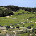 El parque forestal de Las Contiendas, en una imagen de archivo.-J.M. LOSTAU