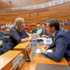 Pilar del Olmo con Raúl de la Hoz en un momento del pleno.-J.M. LOSTAU