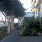 El conductor de un tráiler impacta contra un hotel en León tras perder el control.-E.M.