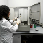 Una trabajadora del IBGM en una imagen de archivo.-Montse Álvarez