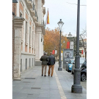 De la Riva y Manuel Sánchez recogen el auto de su absolución.-EUROPA PRESS