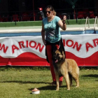 Uno de los perros participantes, en la pasada edición.-EL MUNDO