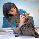 La veterinaria Patricia Ratón en la clínica para gatos Siete Vidas.-PABLO REQUEJO