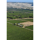 Vista aérea de Hacienda Abascal, situada en plena ‘milla de oro’ de la Ribera delDuero vallisoletana.-I.M.