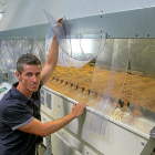Carlos Colmenares, director del Centro de Alto Rendimiento de semilla certificada de Agropal, muestra la mesa densimétrica por la que pasa el grano.-BRÁGIMO