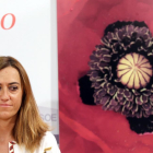 La secretarias del PSCyL de Política Municipal, Virginia Barcones, aborda la situación actual en las negociaciones de la Ordenación del Territorio.-ICAL