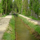 Acequia de Valladolid antes de su tala-
