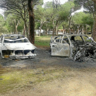 DOS BMW CALCINADOS PARA BORRAR HUELLAS. Otra prueba de la planificación del robo fue la decisión de calcinar los turismos BMWusados en la huida. Lo hicieron en un pinar situado en un pinar junto a las Aceñas (Simancas). Los dos coches de alta gama fueron-La 8 Valladolid