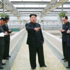 Kim Jong-un muestra su enfado durante la visita a un criadeo de tortugas.-Foto:   KNS / AFP