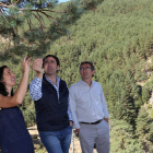 El consejero de Fomento y Medio Ambiente, Juan Carlos Suárez-Quiñones, visita el monte pinar de Navafría en el Parque Natural de Guadarrama.-ICAL