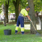 Un jardinero trabaja en un parque de Valladolid.-MIGUEL ÁNGEL SANTOS