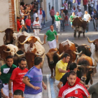 Tercer encierro de las fiestas de Cuéllar en honor a la Virgen del Rosario-ICAL