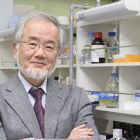 Yoshinori Ohsumi.-