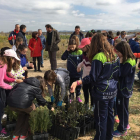 Más de 300 niños celebran el Día Forestal Mundial con actividades educativas organizadas por el Ayuntamiento y el proyecto Quick Urban Forestation, en el Soto de Medinilla. El alcalde de Valladolid, Óscar Puente (al fondo), asiste a la plantación de árbol-ICAL