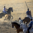El morlaco arremete contra uno de los caballos durante el encierro campero de Castronuño.-PABLO REQUEJO (PHOTOGENIC)