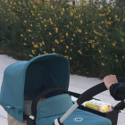 Un padre lleva un carrito de bebé.-E.M.