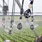 El sector apuesta por la modernización de regadíos y el uso de energías renovables para ahorrar costes y optimizar el uso del agua.-JOSÉ CARLOS CASTILLO