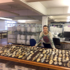 La vallisoletana Paula García-Medrano lleva a cabo su proyecto de investigación denominado ‘Western European Acheulean Project’ en el British Museum.-ICAL